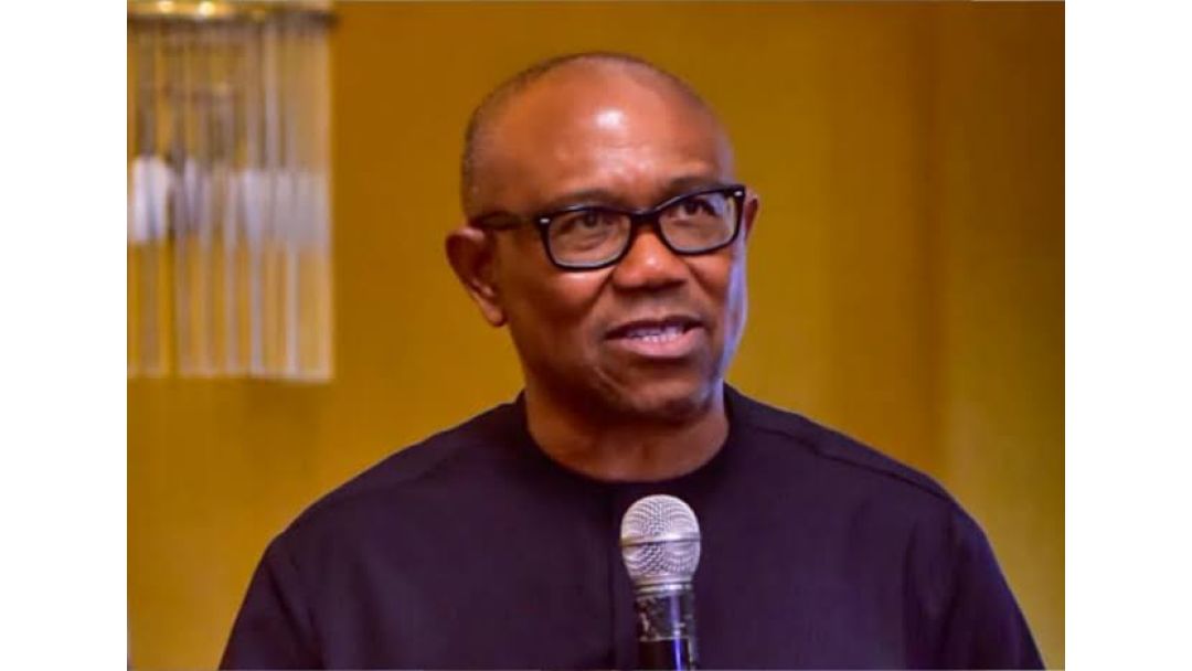2027: Sansanin Jonathan, Manyan PDP na Lallashin Peter Obi