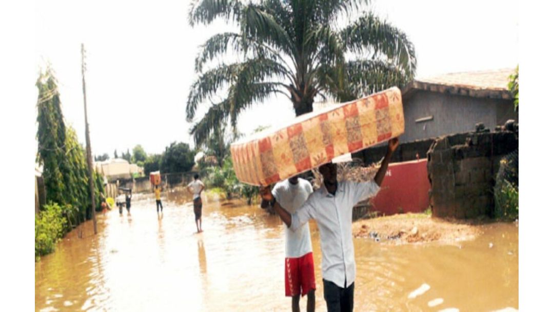 Mmiri mgbapu juru Zariya, kụdara ụlọ 270 ma mee ka puku ụmụaka hapụ ebe obibi ha.