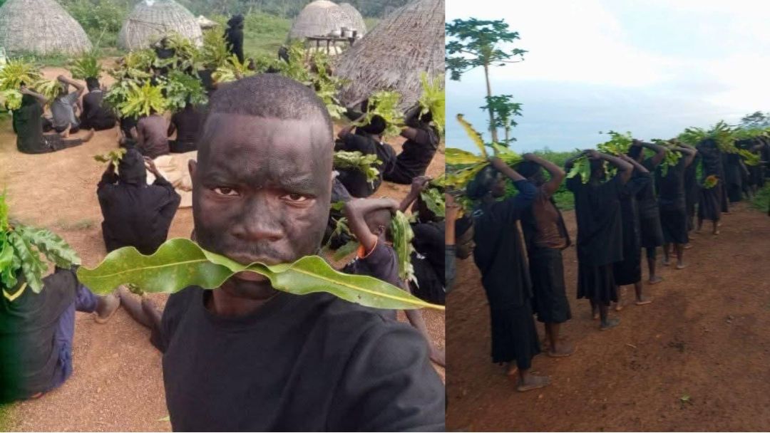Ụmụ akwụkwọ ugbo ndịda Kaduna sawara ihu ha ojii, gara ụlọ eze n’aka nkwụ n’ala n’enweghị ụkwụ n’ihi mwakpo ndị na-achụ anụmanụ