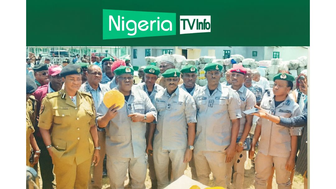 Customs Seize N1.9bn Hard Drugs, Expired Flour at Seme Border
