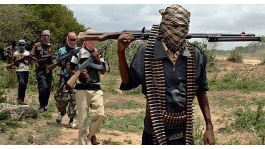 Umu-ojuju Wakporo Obodo Na Kwara N’abalị, Gbaa Ụmụ Obodo Ọtụtụ Osisi