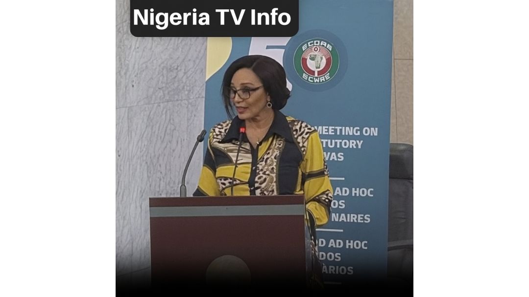 Bianca Ojukwu Ga ECOWAS: Ku Kare Tsarin Mulki, Ku Mayar da Martani ga Bukatun Matasa