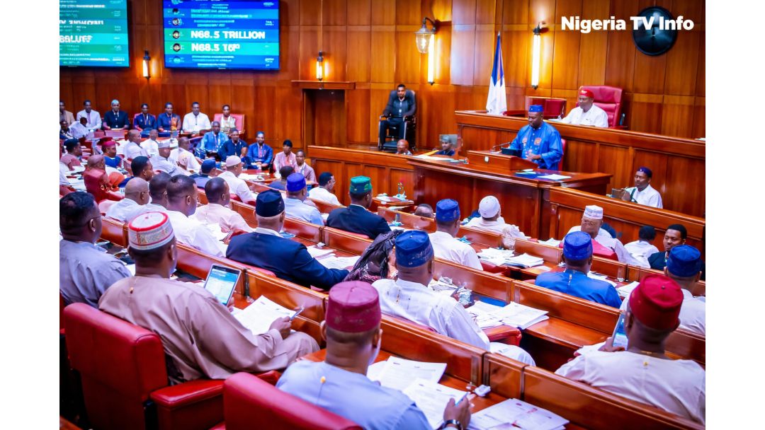 Featured image: Nigerian Senate Orders Arrest of Bandits Flaunting Cash on TikTok