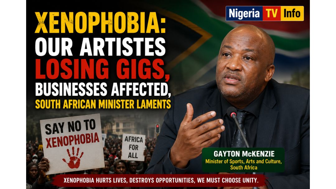 Xenophobia: Our Artistes Losing Gigs, Businesses Affected, South African Minister Laments