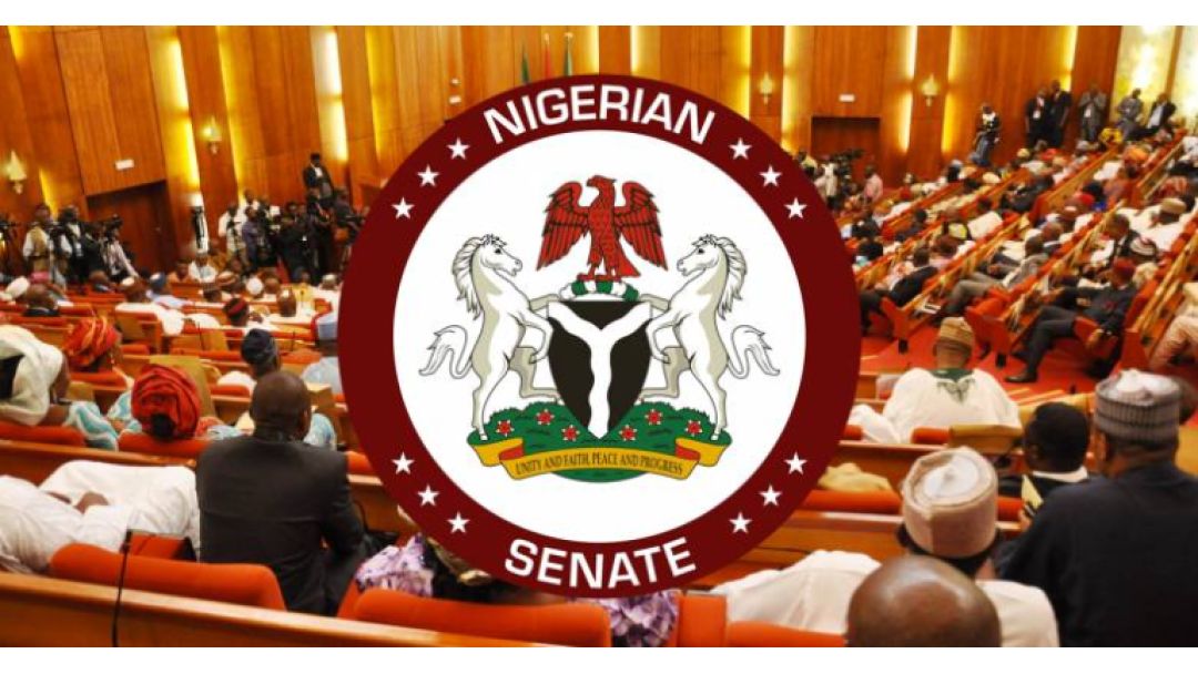 Constitution Amendment: Citizens Propose One-Term, Six-Year Tenure for President and Governors