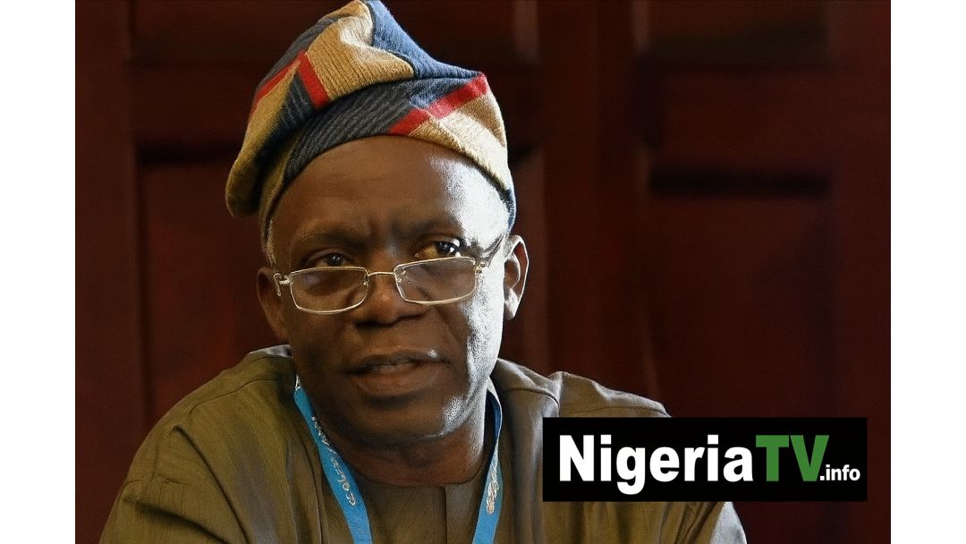 Femi Falana Ya Bukaci Gwamnati Ta Samar da Kiwon Lafiya Kyauta ga Matan da ke Dauke da Ciki