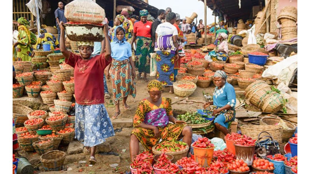 British International Investment, Babban Gona Sign $7.5m Deal to Boost Food Security and More