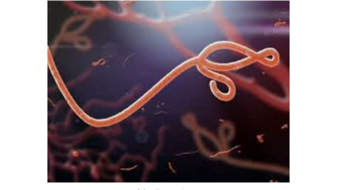 Ụmụ mmadụ 15 nwụrụ mgbe Obodo Ndị Kongo kwupụtara mgbasa ọhụrụ ọrịa Ebola.